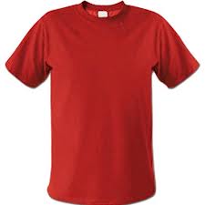 V yaka ve Sıfır yaka T-shirt ÜNİ-453